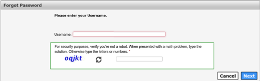 Screenshot of Forgot Password - User Details screen to enter your Username.